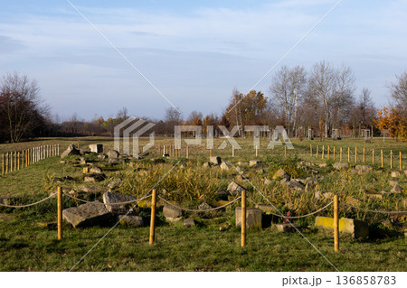 Historical ruins surrounded by greenery in a calm setting near autumn trees 136858783