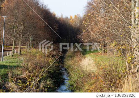 Autumn scene with stream and trees in a quiet park near a pathway Autumn scene with stream and trees in a quiet park near a pathway 136858826