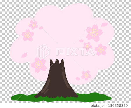 Spring cherry blossom tree flat vector | Sakura flower tree | meadow 136858889