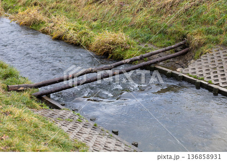 Wooden logs cross a small stream in a grassy area near a walking path Wooden logs cross a small stream in a grassy area near a walking path 136858931