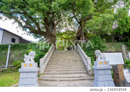 山王神社の被爆クスノキ（長崎市） 136859594