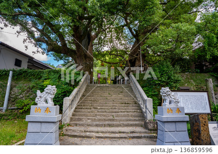 山王神社の被爆クスノキ(長崎市) 山王神社の被爆クスノキ(長崎市) 136859596