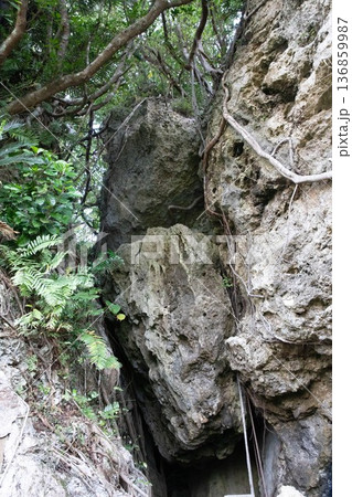 ウタキ（うがみ場所）沖縄イメージ 136859987