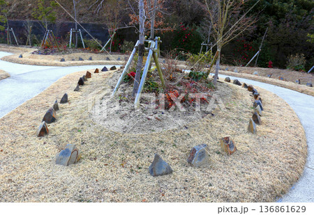 樹木葬　冬期 136861629