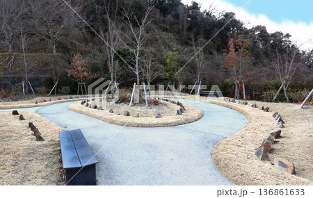 樹木葬　冬期 136861633