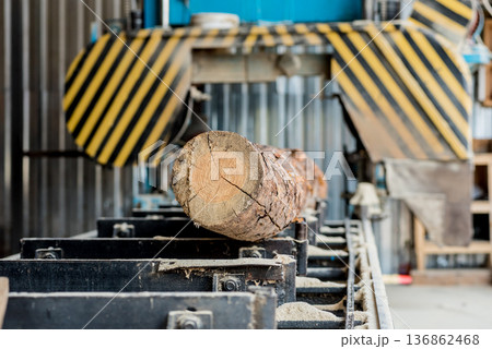 Modern sawmill. Industry sawing boards from logs 136862468