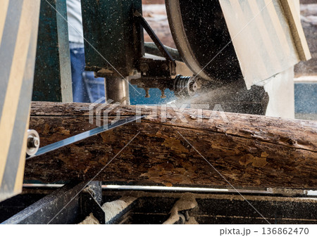 Modern sawmill. Industry sawing boards from logs Modern sawmill. Industry sawing boards from logs 136862470