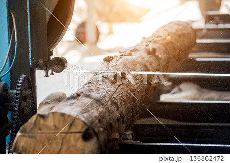 Modern sawmill. Industry sawing boards from logs 136862472