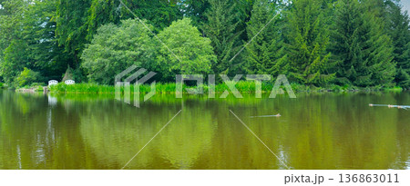 Tranquil Panoramic Lake Landscape with Lush Green Forest Reflection Tranquil Panoramic Lake Landscape with Lush Green Forest Reflection 136863011