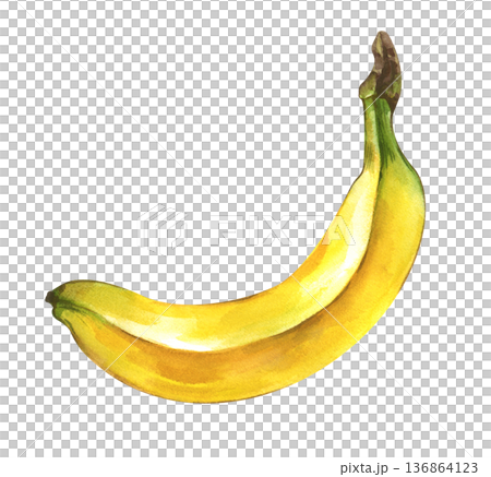 A single ripe banana on an isolated background. Watercolor illustration of a realistic yellow fruit. Botanical clipart in natural colors for healthy food themes, menus and baby food for children. 136864123