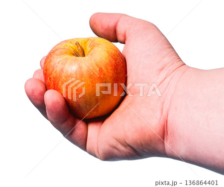 The yellow apple with red spots lies in a hand on a white background in isolation The yellow apple with red spots lies in a hand on a white background in isolation 136864401