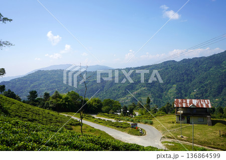 Mountain road curves through a scenic tea plantation with a traditional rural house Mountain road curves through a scenic tea plantation with a traditional rural house 136864599