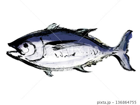 マグロの和風筆書きイラスト 136864755