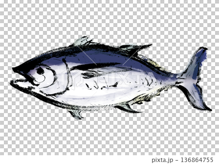 マグロの和風筆書きイラスト 136864755