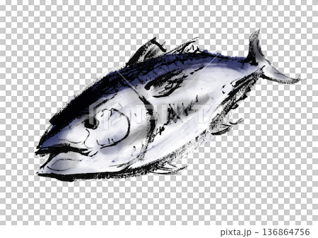 Japanese-style brush-drawn illustration of tuna 136864756