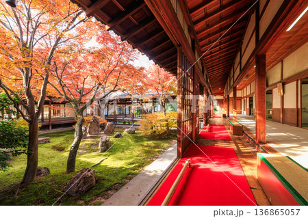 秋の京都　建仁寺の潮音庭の紅葉 136865057