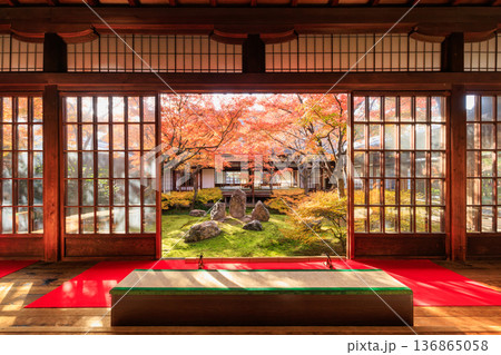 秋の京都 建仁寺の潮音庭の紅葉 秋の京都 建仁寺の潮音庭の紅葉 136865058
