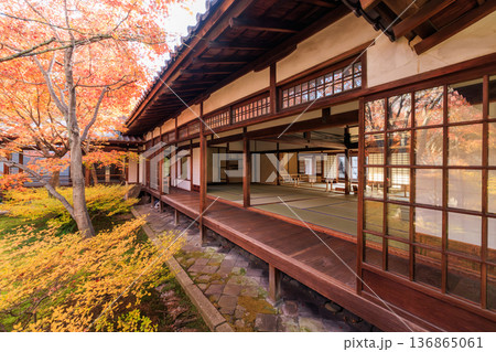 秋の京都　建仁寺の潮音庭の紅葉 136865061