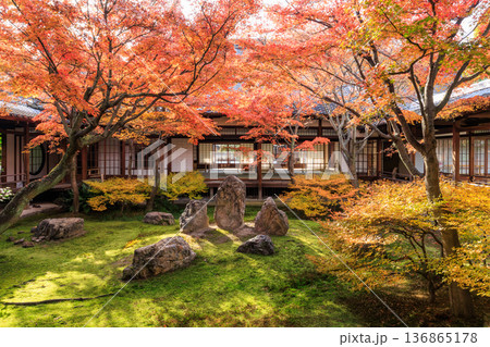 秋の京都　建仁寺の潮音庭の紅葉 136865178