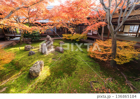 秋の京都 建仁寺の潮音庭の紅葉 秋の京都 建仁寺の潮音庭の紅葉 136865184