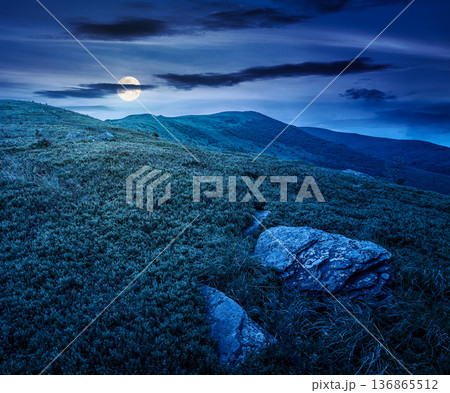 mountain landscape during summer at night. alpine meadows on green slopes and hills in full moon light. amazing adventure scenery. mysterious exploration of remote highland location for inspiration mountain landscape during summer at night. alpine meadows on green slopes and hills in full moon light. amazing adventure scenery. mysterious exploration of remote highland location for inspiration 136865512
