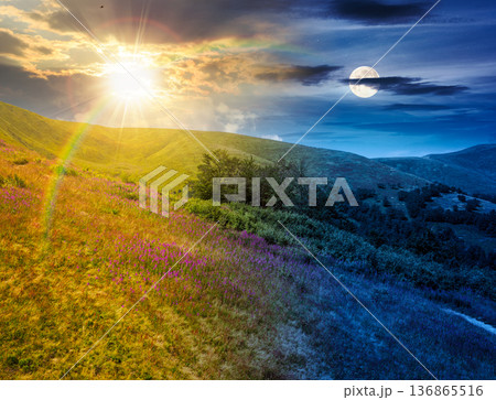 beautiful mountain landscape in summer. day and night time change concept. scenic view of green grassy hills with alpine forest with sun and moon at twilight. astrology wallpaper beautiful mountain landscape in summer. day and night time change concept. scenic view of green grassy hills with alpine forest with sun and moon at twilight. astrology wallpaper 136865516