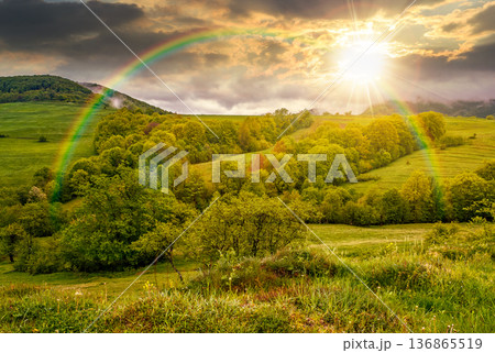 sunset over rural area in the valley. green countryside scenery with wooded rolling hills. mountain landscape in springtime. remote place for weather photography under rainbow 136865519