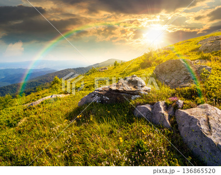 mountain landscape in summer at sunset. alpine scenery with steep grassy slope under blue sky in evening light. beautiful view of coniferous tree near rock among lush green grass. remote place 136865520
