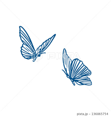 Butterflies with graceful wings fluttering in the air. Hand drawn vector illustration in line art style. Monochrome clip art for cards, invitations and tattoos. Butterflies with graceful wings fluttering in the air. Hand drawn vector illustration in line art style. Monochrome clip art for cards, invitations and tattoos. 136865754