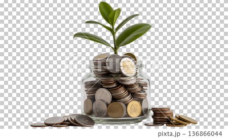 "Money Growth Concept with Coins and Green Plant in Glass Jar 136866044