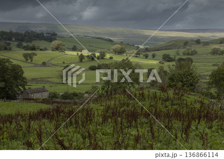イギリス田舎風景 イギリス田舎風景 136866114