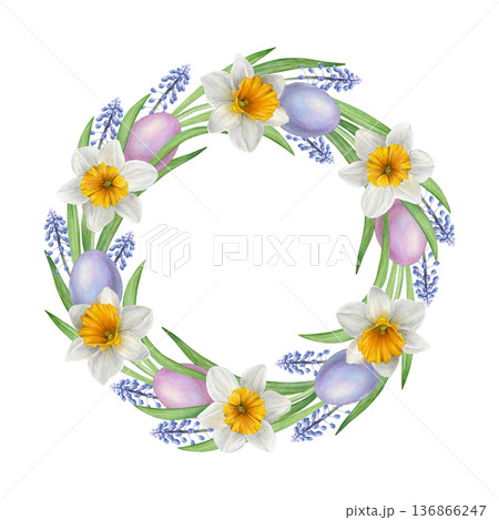 Watercolor Easter wreath with white daffodils, blue muscari, green leaves and pastel eggs arranged in a circle. Ideal for greeting cards, invitations, prints, packaging and spring decor 136866247