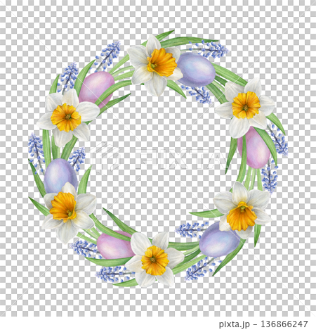 Watercolor Easter wreath with white daffodils, blue muscari, green leaves and pastel eggs arranged in a circle. Ideal for greeting cards, invitations, prints, packaging and spring decor 136866247