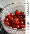 ミニトマト 136866684