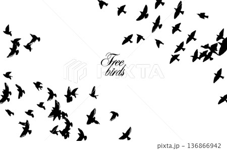 Flying birds silhouette flock. hand drawing. Not AI. Vector illustration 136866942
