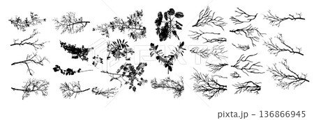 A set of tree branches . hand drawing. Not AI Vector illustration. A set of tree branches . hand drawing. Not AI Vector illustration. 136866945