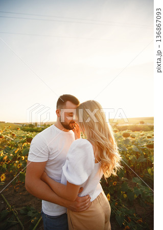 Young loving couple is kissing in a sunflower field. Portrait of couple posing in summer in field. 136867093