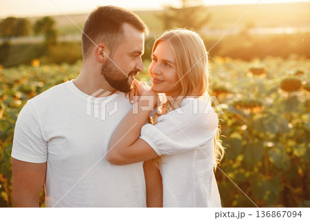 Young loving couple is kissing in a sunflower field. Portrait of couple posing in summer in field. Young loving couple is kissing in a sunflower field. Portrait of couple posing in summer in field. 136867094