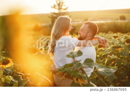 Young loving couple is kissing in a sunflower field. Portrait of couple posing in summer in field. 136867095