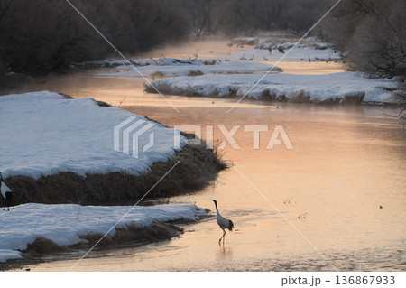 音羽橋から見た早朝の風景 136867933