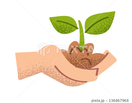 Green sprout in human hand Green sprout in human hand 136867968