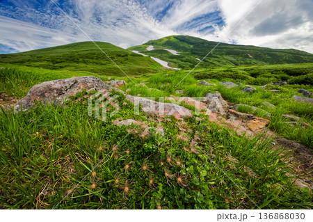 鳥海山・河原宿付近のチングルマの花穂と心字雪・外輪山稜線 136868030