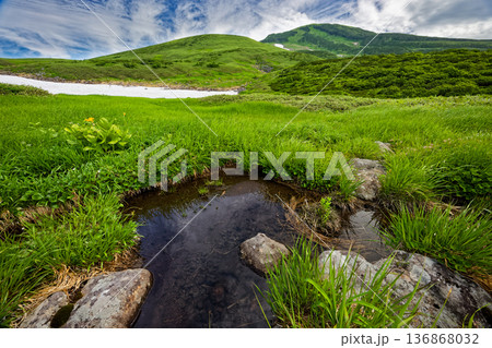 鳥海山・月山森付近の湿原と外輪山稜線 136868032