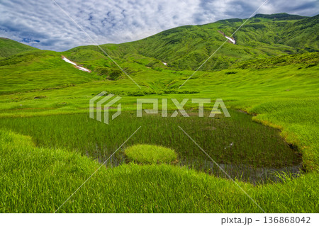 鳥海山・千畳ヶ原の池塘と外輪山稜線 鳥海山・千畳ヶ原の池塘と外輪山稜線 136868042