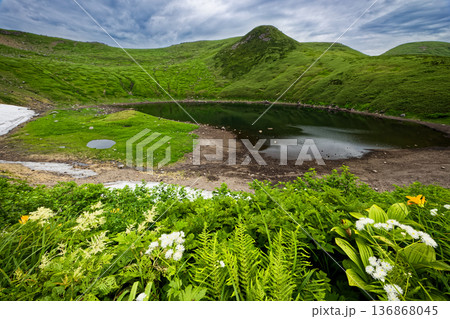 鳥海山・鳥海湖と高山植物 136868045