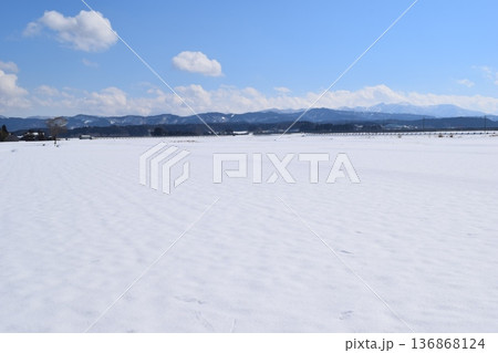 雪国の田園風景 山形県庄内 136868124