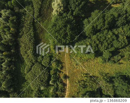Aerial View of Lush Green Forest with Dirt Path in Belarus 136868209