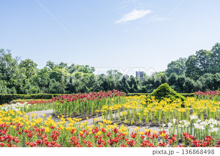 世界の百合広場　百合が原公園　札幌市 136868498