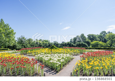 世界の百合広場　百合が原公園　札幌市 136868501