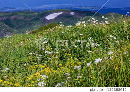 鳥海山・外輪山の花畑と御浜付近の稜線・日本海の眺め 136868612